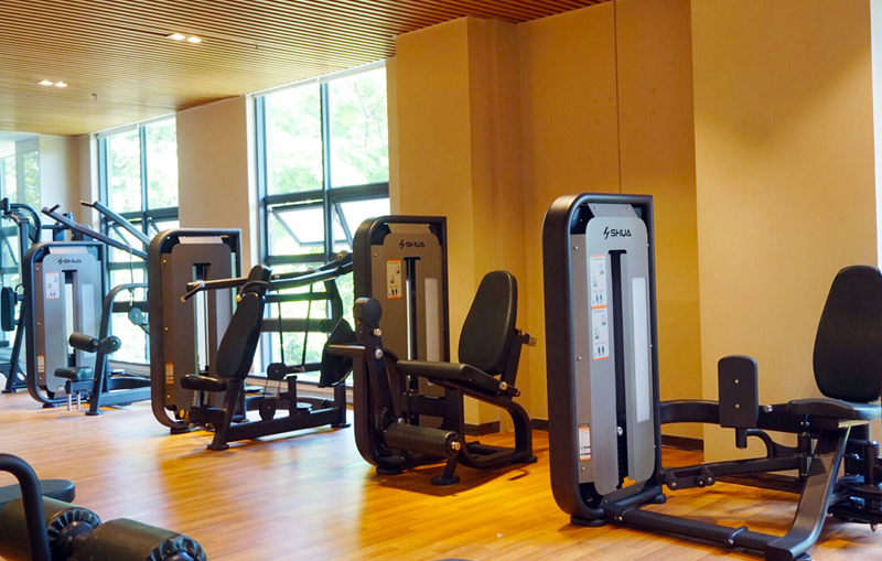 酒店健身房器材,高端健身房器材,室内健身器材-广西333体育健身器材有限公司