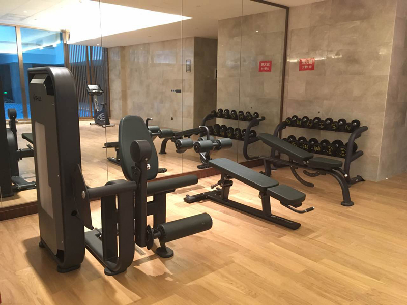 酒店健身房器材,室内健身器材,高端商用健身器材-广西333体育健身器材有限公司