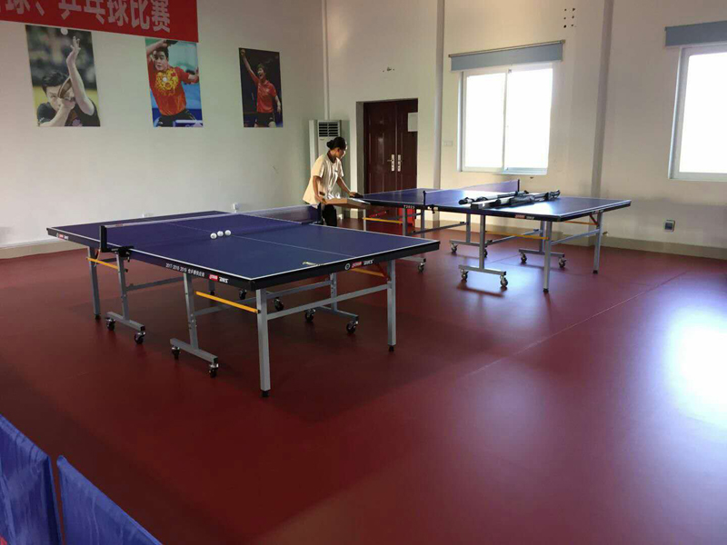 室内健身器材,单位健身器材,健身器材十大品牌-广西333体育健身器材有限公司