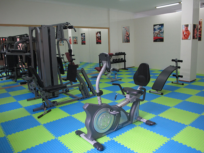 室内健身器材,单位健身器材,健身器材十大品牌-广西333体育健身器材有限公司