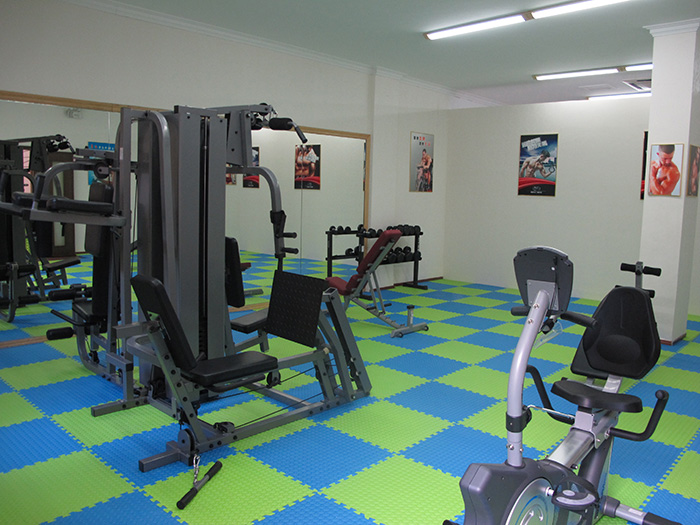 室内健身器材,单位健身器材,健身器材十大品牌-广西333体育健身器材有限公司