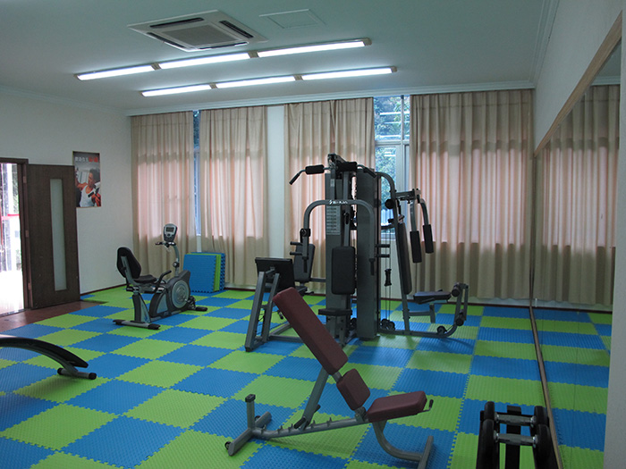 室内健身器材,单位健身器材,健身器材十大品牌-广西333体育健身器材有限公司