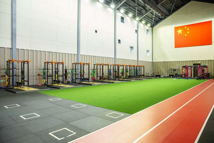 体能训练解决方案-广西333体育