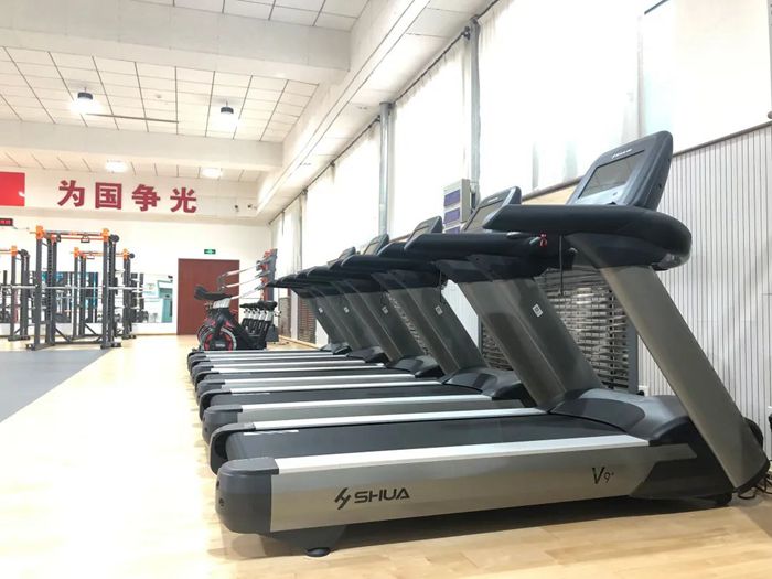 体能训练解决方案-广西333体育