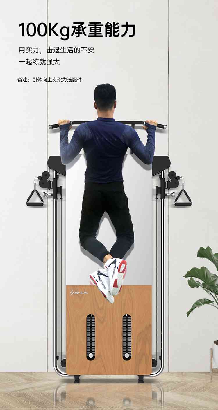 SH-G699 壁挂式拉绳训练器-广西333体育健身器材有限公司 SH-G699 壁挂式拉绳训练器-广西333体育健身器材有限公司